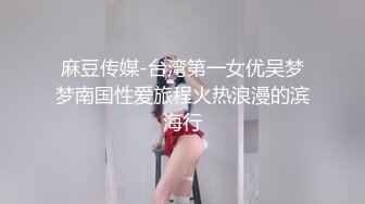 麻豆传媒-台湾第一女优吴梦梦南国性爱旅程火热浪漫的滨海行