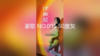 豪歌 NO.001 50度灰