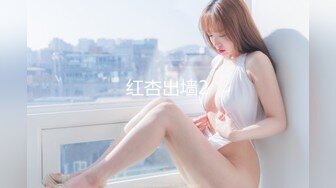 红杏出墙2