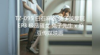 TZ-095 白石麻衣 兔子按摩院 EP3 极品骚女 兔子先生 x 麻豆传媒映画