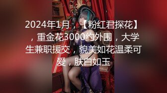 2024年1月，【粉红君探花】，重金花3000约外围，大学生兼职援交，貌美如花温柔可爱，肤白如玉