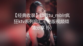 【经典收录】致敬tu_mblr疯狂ktv系列总汇，绝版视频倾情分享 (5)