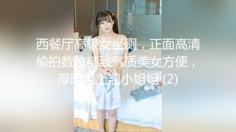 西餐厅高级女坐厕，正面高清偸拍数位精致气质美女方便，厚阴毛上翘小姐姐 (2)