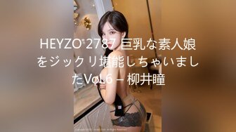 HEYZO 2787 巨乳な素人娘をジックリ堪能しちゃいましたVol.6 – 柳井瞳