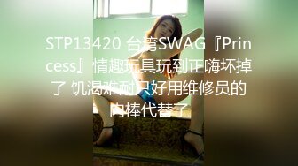 STP13420 台湾SWAG『Princess』情趣玩具玩到正嗨坏掉了 饥渴难耐只好用维修员的肉棒代替了