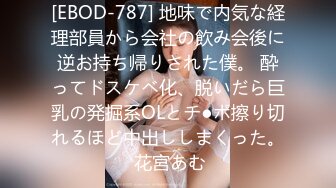 [EBOD-787] 地味で内気な経理部員から会社の飲み会後に逆お持ち帰りされた僕。 酔ってドスケベ化、脱いだら巨乳の発掘系OLとチ●ポ擦り切れるほど中出ししまくった。 花宮あむ