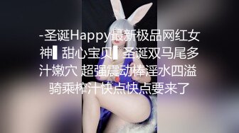 -圣诞Happy最新极品网红女神▌甜心宝贝▌圣诞双马尾多汁嫩穴 超强震动棒淫水四溢 骑乘榨汁快点快点要来了