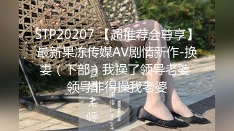 STP20207 【超推荐会尊享】最新果冻传媒AV剧情新作-换妻（下部）我操了领导老婆 领导非得操我老婆