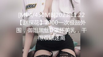 [MP4/430MB]2023.11.22【赵探花】2000一次极品外围，御姐黑丝D罩杯美乳，干得双眼迷离