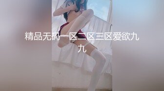 精品无码一区二区三区爱欲九九