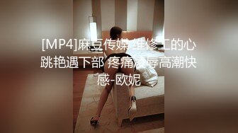 [MP4]麻豆传媒 维修工的心跳艳遇下部 疼痛凌辱高潮快感-欧妮