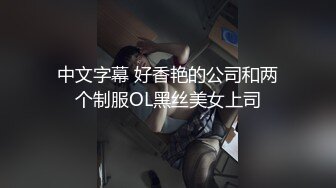 中文字幕 好香艳的公司和两个制服OL黑丝美女上司